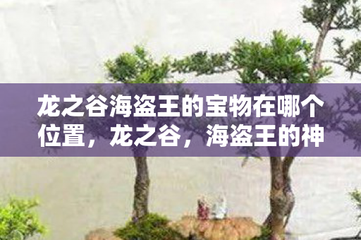 龙之谷海盗王的宝物在哪个位置，龙之谷，海盗王的神秘宝物揭秘