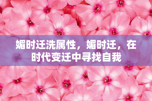 媚时迁洗属性，媚时迁，在时代变迁中寻找自我
