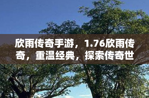 欣雨传奇手游，1.76欣雨传奇，重温经典，探索传奇世界的魅力