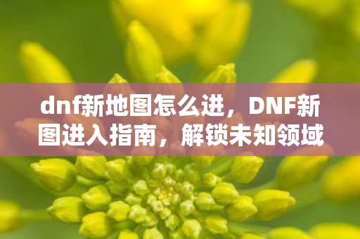 dnf新地图怎么进，DNF新图进入指南，解锁未知领域的冒险