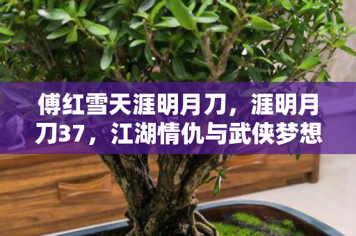 傅红雪天涯明月刀,涯明月刀37,江湖情仇与武侠梦想的交织 傅红雪天涯明月刀,涯明月刀37,江湖情仇与武侠梦想的交织