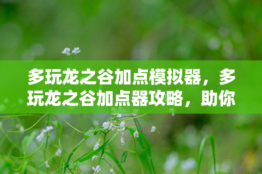 多玩龙之谷加点模拟器，多玩龙之谷加点器攻略，助你成为游戏中的强者