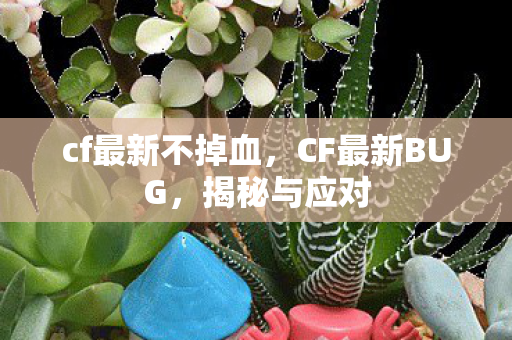 cf最新不掉血，CF最新BUG，揭秘与应对