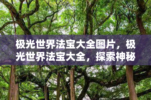 极光世界法宝大全图片，极光世界法宝大全，探索神秘法宝，提升你的冒险之旅