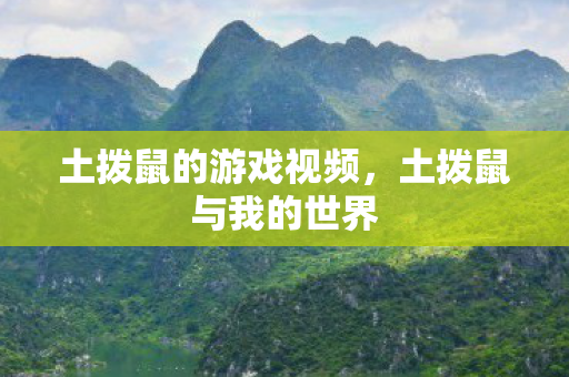 土拨鼠的游戏视频，土拨鼠与我的世界
