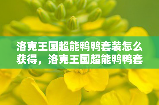洛克王国超能鸭鸭套装怎么获得，洛克王国超能鸭鸭套装，时尚与魔法的完美融合