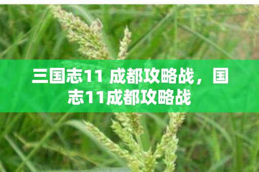 三国志11 成都攻略战图片