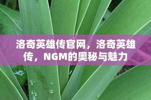 洛奇英雄传官网，洛奇英雄传，NGM的奥秘与魅力
