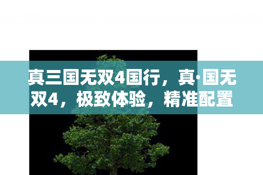 真三国无双4国行,真·国无双4,极致体验,精准配置 真三国无双4国行,真·国无双4,极致体验,精准配置