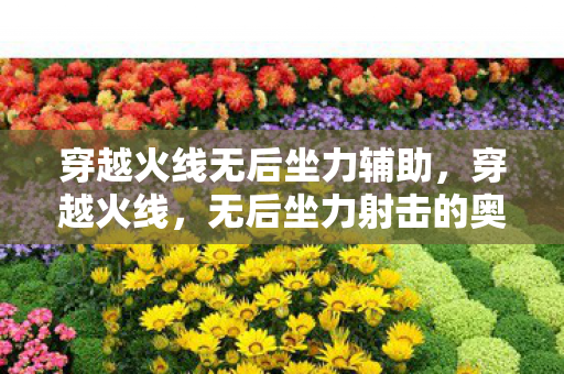 穿越火线无后坐力辅助,穿越火线,无后坐力射击的奥秘与实战技巧 穿越火线无后坐力辅助,穿越火线,无后坐力射击的奥秘与实战技巧