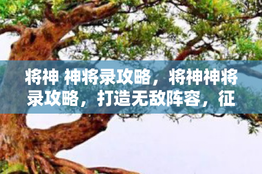 将神 神将录攻略图片