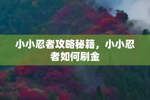 小小忍者攻略秘籍,小小忍者如何刷金 小小忍者攻略秘籍,小小忍者如何刷金