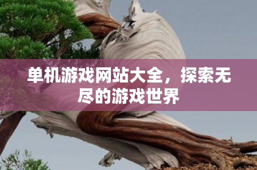 单机游戏网站大全，探索无尽的游戏世界