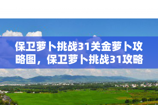 保卫萝卜挑战31关金萝卜攻略图，保卫萝卜挑战31攻略，金萝卜布阵图详解