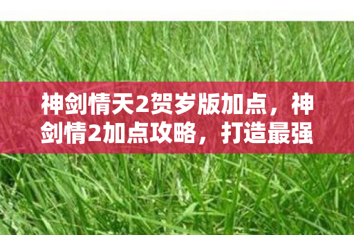神剑情天2贺岁版加点,神剑情2加点攻略,打造最强角色 神剑情天2贺岁版加点,神剑情2加点攻略,打造最强角色