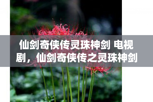 仙剑奇侠传灵珠神剑 电视剧，仙剑奇侠传之灵珠神剑，探寻古老传说中的神秘力量