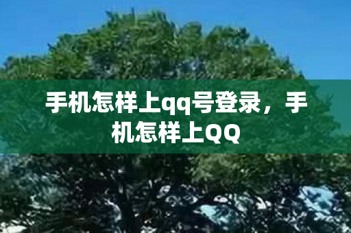 手机怎样上qq号登录图片