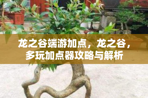 龙之谷端游加点，龙之谷，多玩加点器攻略与解析