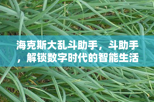 海克斯大乱斗助手，斗助手，解锁数字时代的智能生活