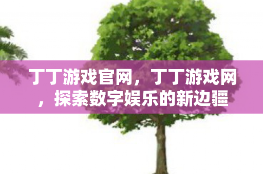 丁丁游戏官网，丁丁游戏网，探索数字娱乐的新边疆