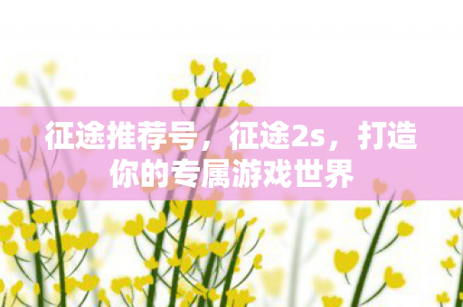 征途推荐号，征途2s，打造你的专属游戏世界