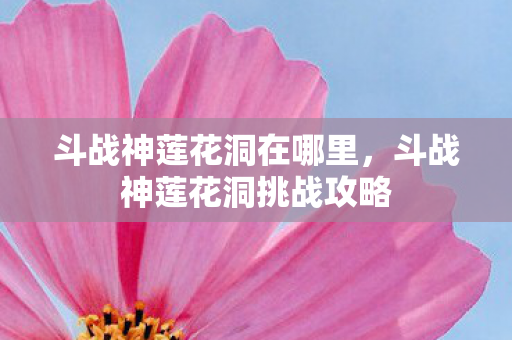 斗战神莲花洞在哪里，斗战神莲花洞挑战攻略
