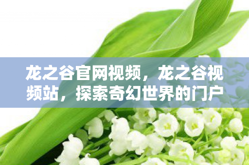 龙之谷官网视频，龙之谷视频站，探索奇幻世界的门户