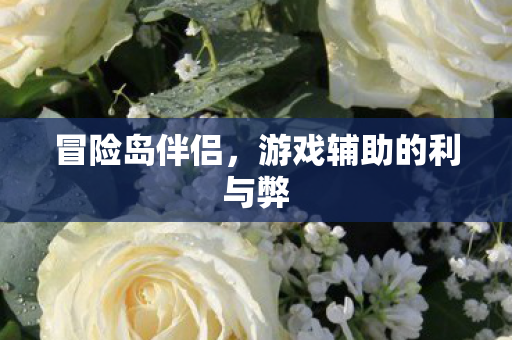 冒险岛伴侣，游戏辅助的利与弊