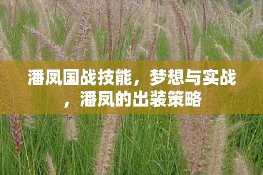 潘凤国战技能，梦想与实战，潘凤的出装策略