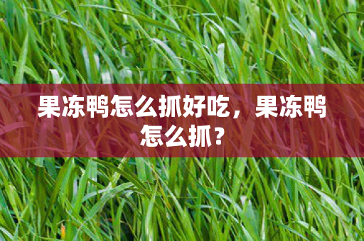 果冻鸭怎么抓好吃，果冻鸭怎么抓？