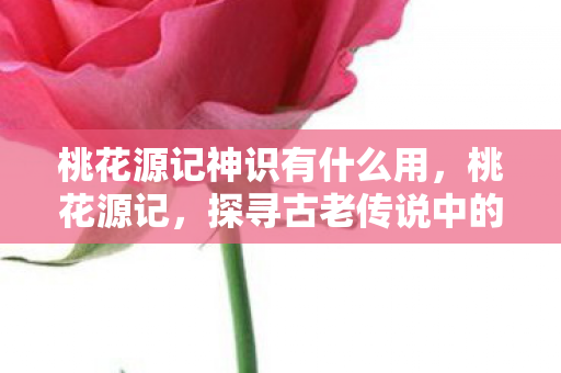 桃花源记神识有什么用，桃花源记，探寻古老传说中的神秘数字