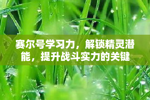 赛尔号学习力，解锁精灵潜能，提升战斗实力的关键