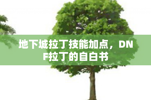地下城拉丁技能加点，DNF拉丁的自白书