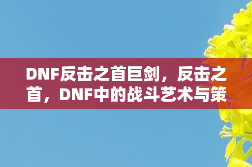 DNF反击之首巨剑，反击之首，DNF中的战斗艺术与策略