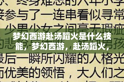 梦幻西游赴汤蹈火是什么技能，梦幻西游，赴汤蹈火，共赴西游之旅