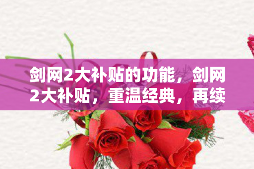 剑网2大补贴的功能，剑网2大补贴，重温经典，再续江湖情缘