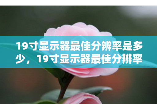 19寸显示器最佳分辨率是多少，19寸显示器最佳分辨率全解析