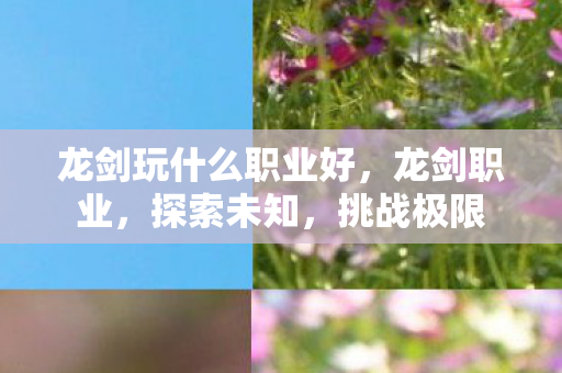 龙剑玩什么职业好，龙剑职业，探索未知，挑战极限
