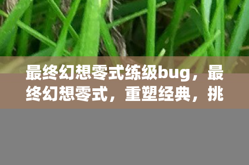 最终幻想零式练级bug,最终幻想零式,重塑经典,挑战极限 最终幻想零式练级bug,最终幻想零式,重塑经典,挑战极限