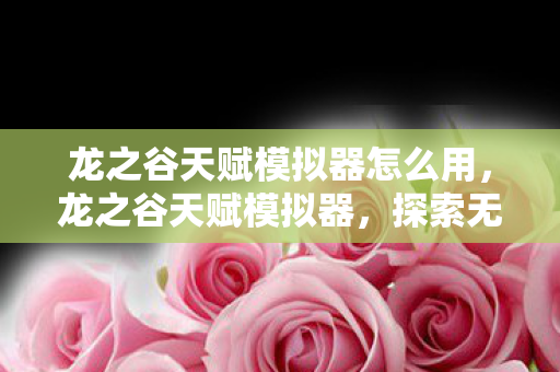 龙之谷天赋模拟器怎么用，龙之谷天赋模拟器，探索无限潜能，定制专属英雄