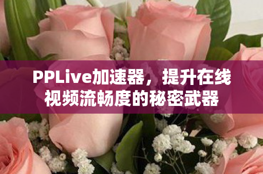 PPLive加速器，提升在线视频流畅度的秘密武器