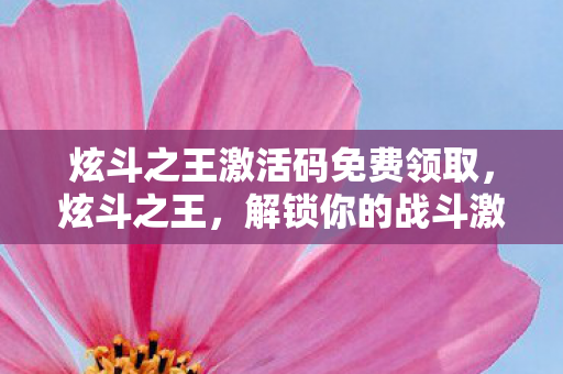 炫斗之王激活码免费领取，炫斗之王，解锁你的战斗激情