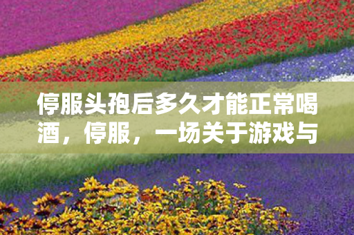 停服头孢后多久才能正常喝酒，停服，一场关于游戏与玩家的告别仪式