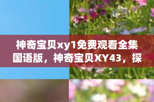 神奇宝贝xy1免费观看全集国语版，神奇宝贝XY43，探索未知，挑战自我