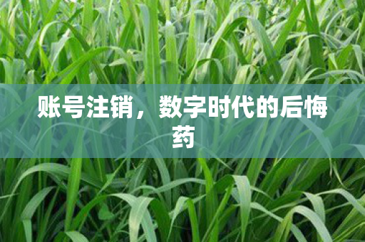 账号注销，数字时代的后悔药