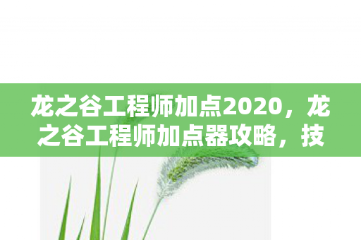 龙之谷工程师加点2020，龙之谷工程师加点器攻略，技能分配与战斗策略