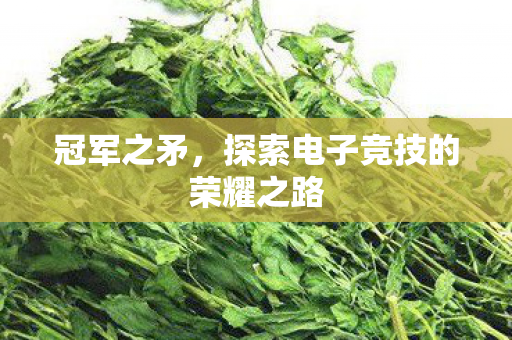 冠军之矛,探索电子竞技的荣耀之路 冠军之矛,探索电子竞技的荣耀之路