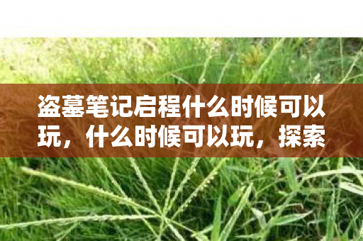 盗墓笔记启程什么时候可以玩，什么时候可以玩，探索游戏时间的奥秘