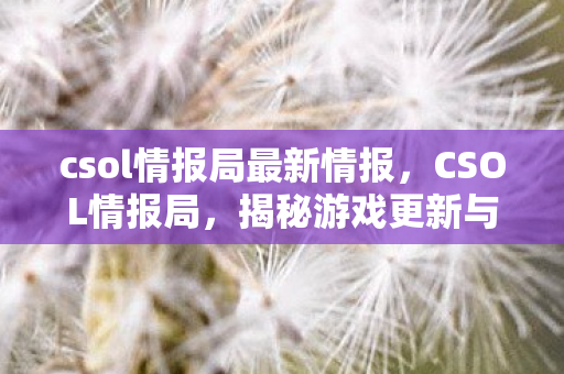 csol情报局最新情报，CSOL情报局，揭秘游戏更新与未来趋势