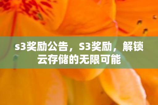 s3奖励公告，S3奖励，解锁云存储的无限可能